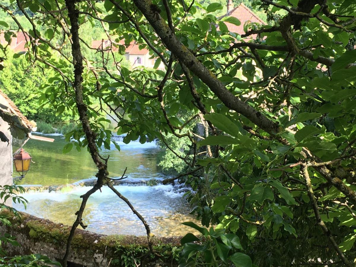 Grands Gîtes de charme avec jardin, lieu calme et paisible en plein coeur d'Arbois, linge inclu, lits faits à l'arrivée et ménage en fin de séjour Extérieur photo