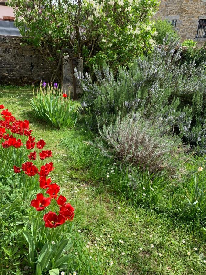 Grands Gîtes de charme avec jardin, lieu calme et paisible en plein coeur d'Arbois, linge inclu, lits faits à l'arrivée et ménage en fin de séjour Extérieur photo